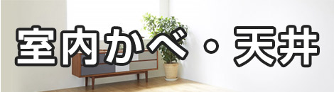 室内かべ・天井