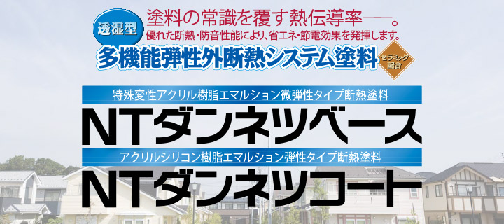 NTダンネツベースとは