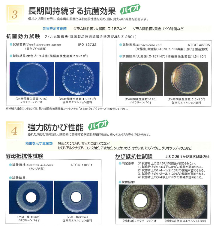 ノボクリーンとは