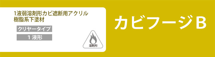 カビフージBとは