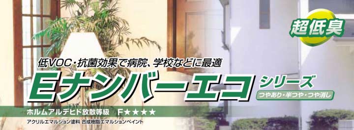 Eナンバーエコとは