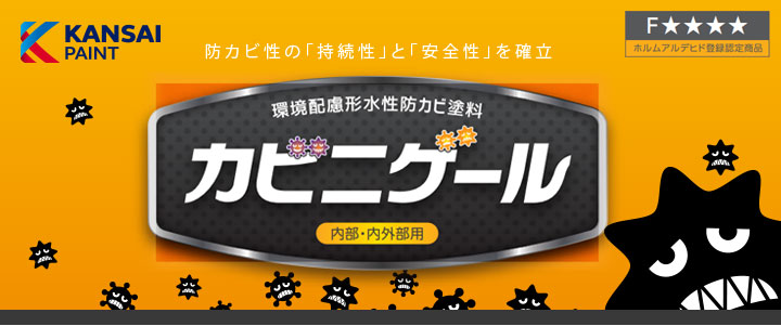 カビニゲールとは