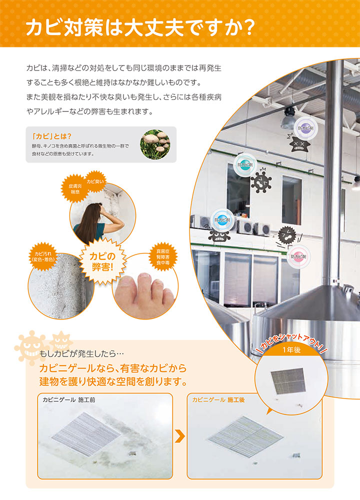 カビニゲールとは