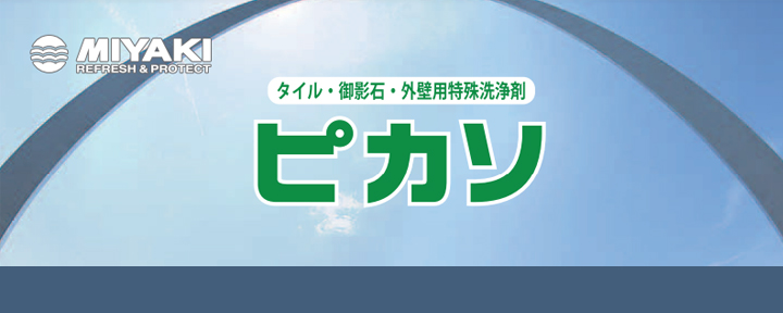 ミヤキのピカソとは