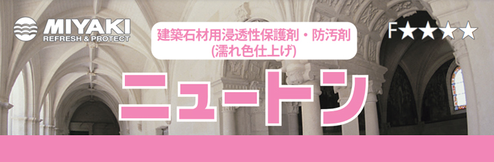 ニュートンとは