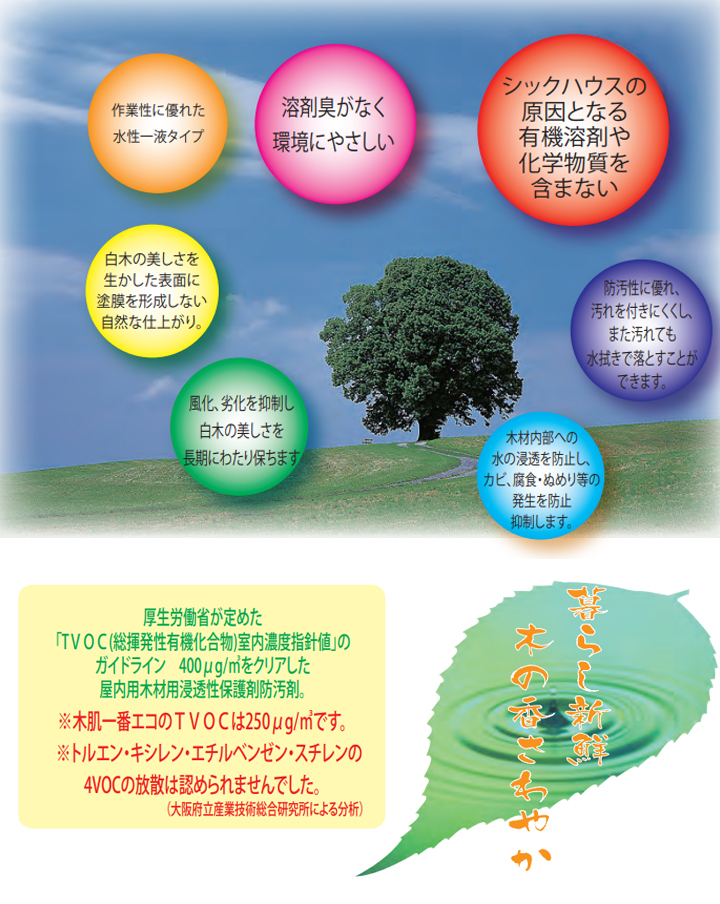 木肌一番エコとは