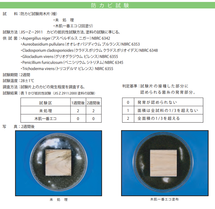 木肌一番エコとは