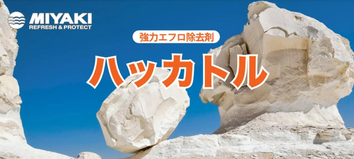 ハッカトルとは