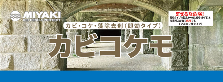 カビコケモとは