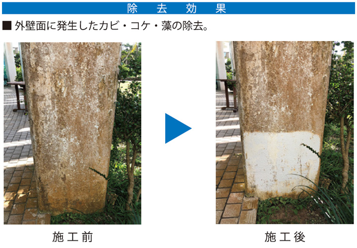 カビコケモとは