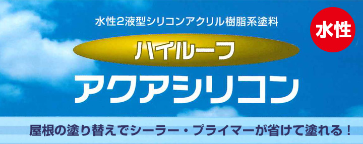 ハイルーフアクアシリコンとは