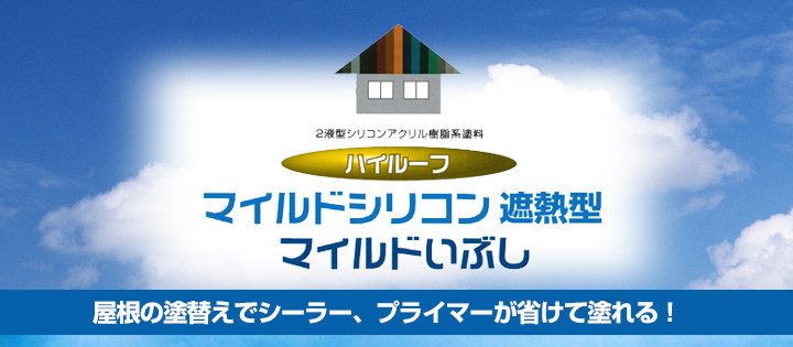 ハイルーフマイルドシリコンとは