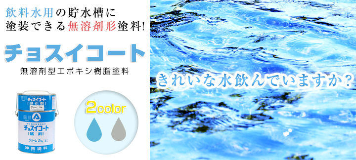 チョスイコートとは