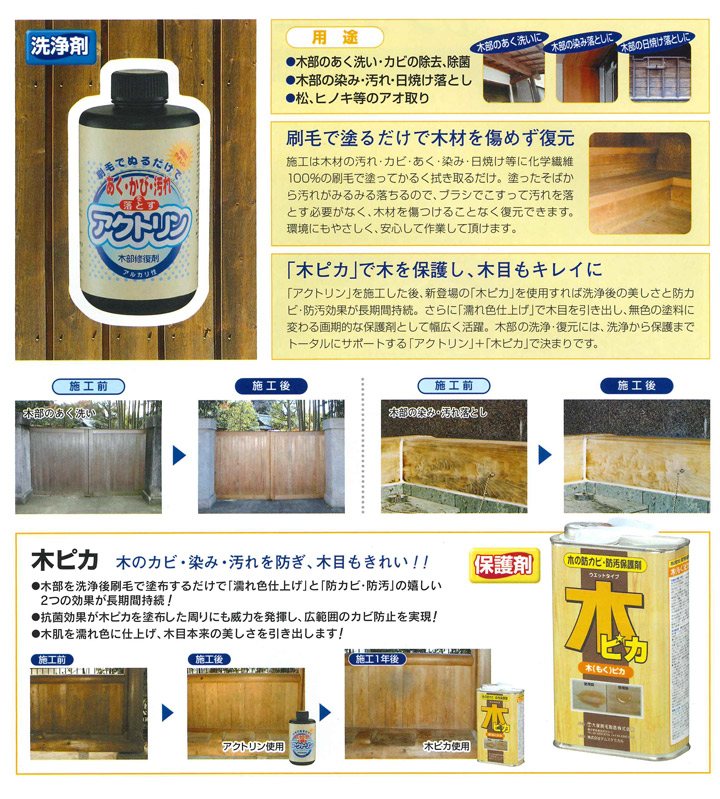 アクトリンとは