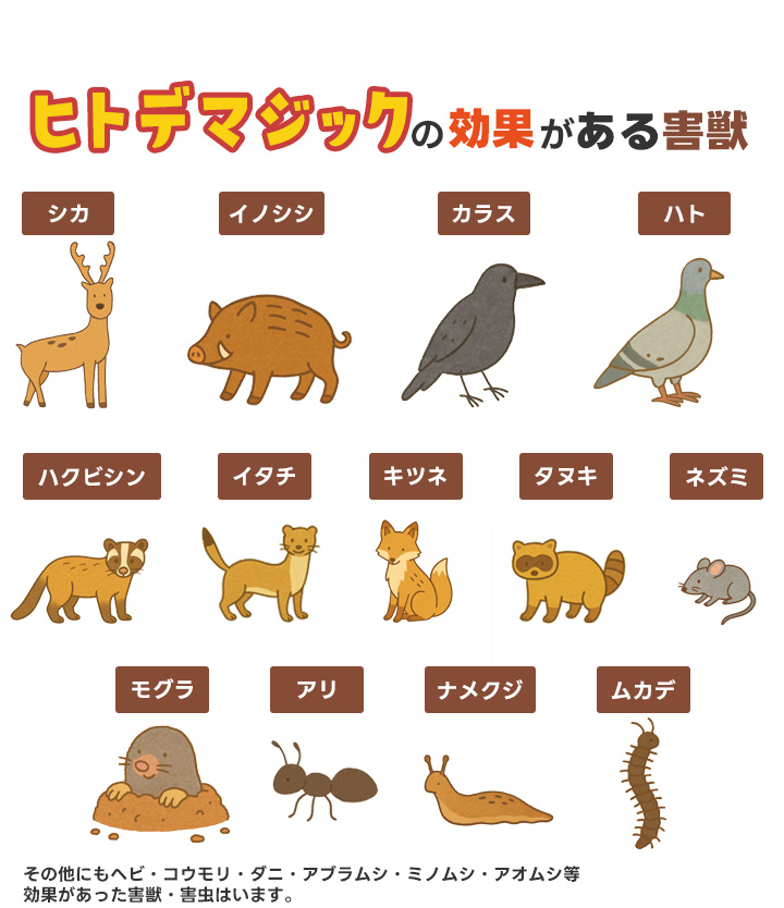 ヒトデマジック -害獣忌避剤-