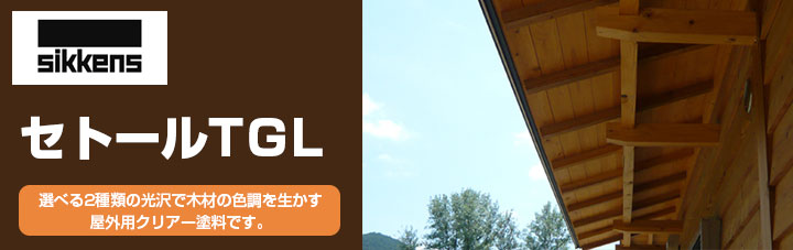 シッケンズセトール とは