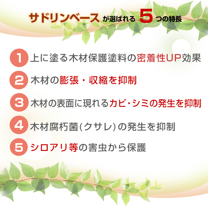 サドリンベースとは