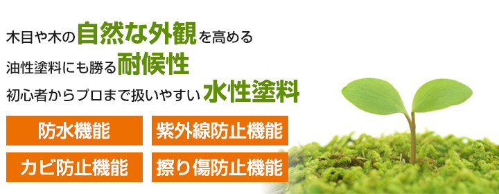 オリンピック マキシマムとは