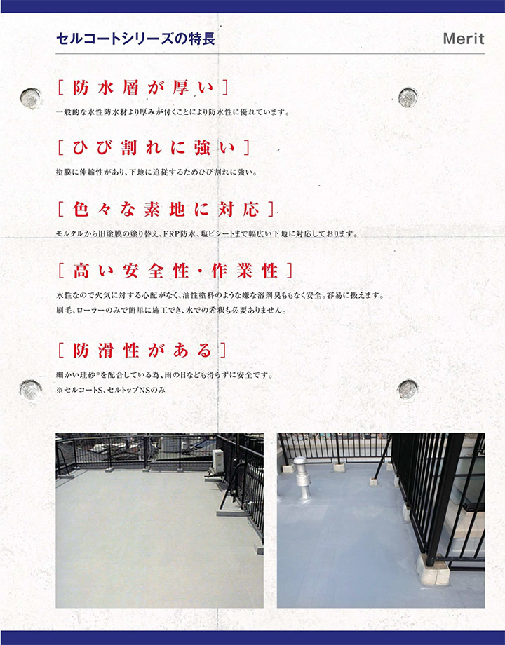 セルコートSとは