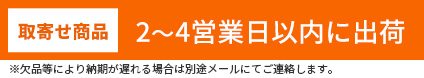 取寄せ商品2～4営業日以内に出荷