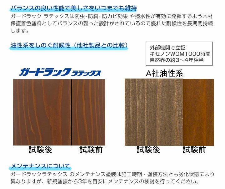 カメラ RICOH AUTO SHOT 美品 動作確認済 クリアな光学 ゼンマイ巻上
