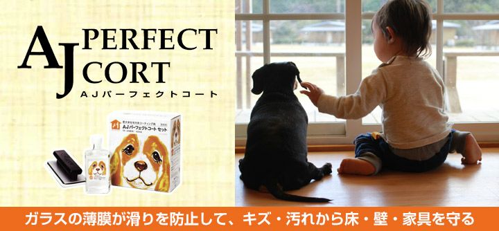 AJパーフェクトコートセット 500ml （ガラスコーティング剤 木床 金属