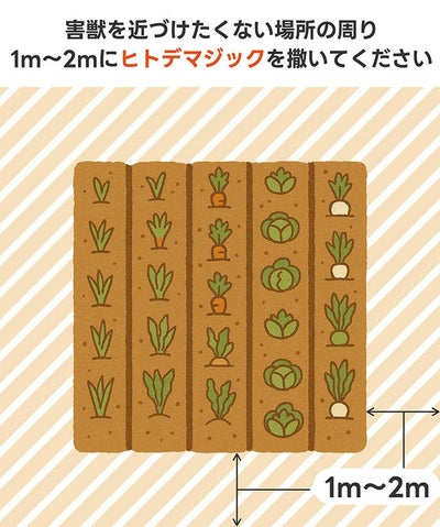 害獣忌避剤 ヒトデマジック 5kg（500g ×10） シカ イノシシ ネズミ カラス ハト タヌキ ハクビシン アライグマ キツネ イタチ コウモリ 害獣対策 軒下 庭 簡単 強力 臭い 天然由来 ヒトデ
